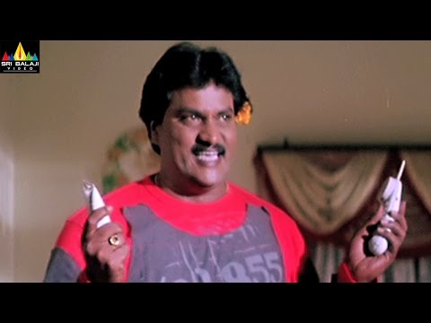 Andhrudu Movie Comedy Scenes Back to Back | Gopichand, Sunil | Sri Balaji Video