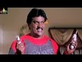 Andhrudu Movie Comedy Scenes Back To Back Gopichand Sunil Sri Balaji Video