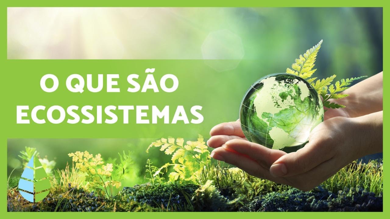 Definição e TIPOS de ECOSSISTEMAS 🏜️🏙️🌅