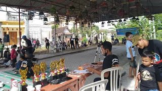 Download lagu Berburu perkutut lokal Wisnu Murti di pasar , Alhamdulillah ketemu 1 perkutut aneh mp3