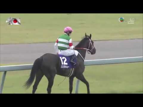 2019 寶塚紀念賽 宝塚記念 雍容白荷 Lys Gracieux リスグラシュー