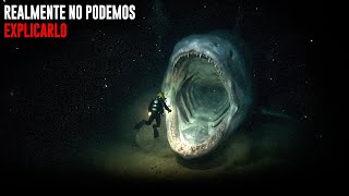 ¿Por qué las Criaturas del Triángulo de las Bermudas son más Aterradoras que el Resto del Planeta?