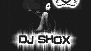 Nightcrawlers- push the feeling on party rock (Dj Shox electro mix).wmv