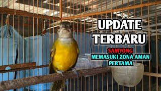 Download lagu MEMASUKI TITIK AMAN PERTAMA DALAM MERAWAT BURUNG SAMYONG mp3 Download lagu MEMASUKI TITIK AMAN PERTAMA DALAM MERAWAT BURUNG SAMYONG mp3