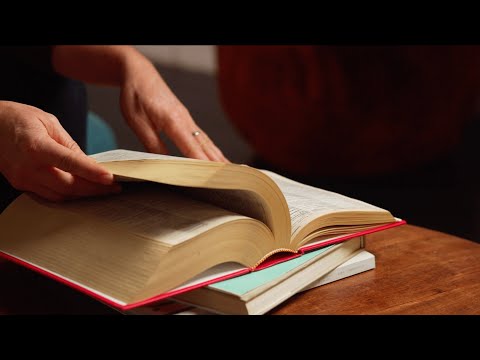 Anteprima video