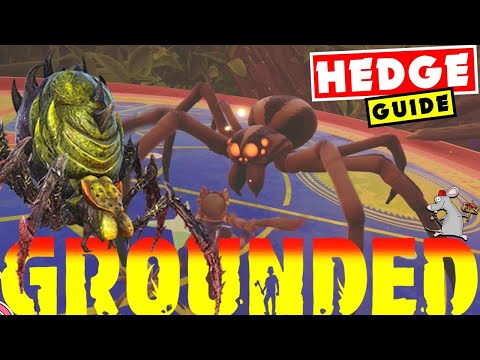 GROUNDED HEDGE GUIDE! BROODMOTHER ARK Boss Fight - Secret Labs! Berries And Science Points!