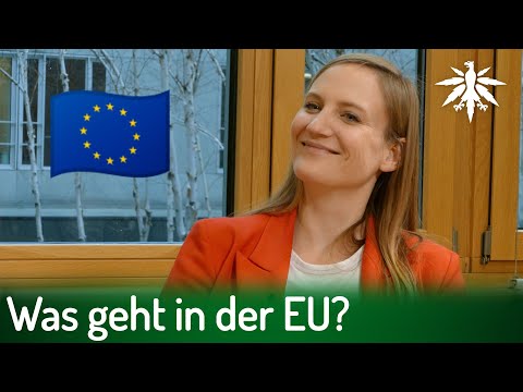 Interview mit Carmen Wegge (SPD) zur EU