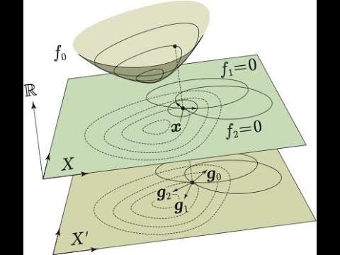 セラストラ科 - 定義