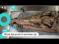 Schedel van reusachtig zeemonster gevonden aan Engelse kust