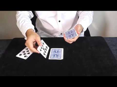 Panda Switch Application by Creative Artists - Video DOWNLOAD