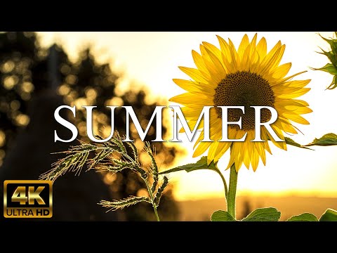 SUMMER 4K - The Relaxing Music With Fresh With Summer Scenery - (4K Video UHD)