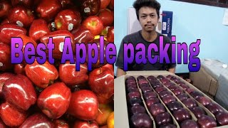 preview picture of video 'Apple packing and shipping. Shimla HD'