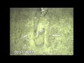 What Did We Find 200 Ft In A Water Well IET Downhole Camera