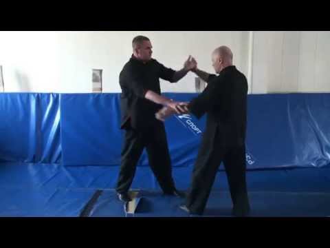 The third master class on techniques of Wing Chun Fat Za Kuen