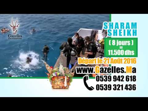 Gazelles Destination Video