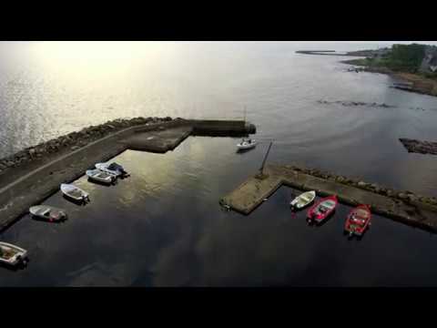 Båttur från norra hamnen i Brantevik