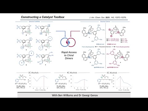 Synthesis Workshop: Enantioselective Intermolecular Amination with Alexander Fanourakis (Episode 80)