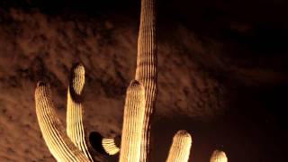 In The Hall Of The Mountain King