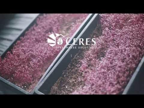 Ceres Greenhouse Solutions | Harvesting the Sun with Passive Solar Greenhouse Design