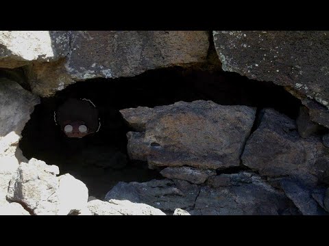 All these people unaliving and a mysterious cave? - SCP 1538