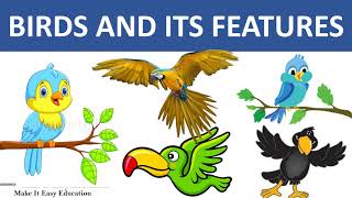 BIRDS AND ITS FEATURES || HOW BIRDS FLY? || TYPES OF FEATHERS || SCIENCE VIDEO FOR CHILDREN