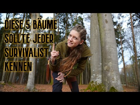 🌲 Diese 5 Bäume sollte jeder Survivalist kennen! 🌳🦊Survival -Wissen einfach erklärt👌