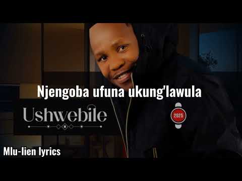 Navigator Gcwensa - Ushwebile (Lyric Video) ft. Mjolisi