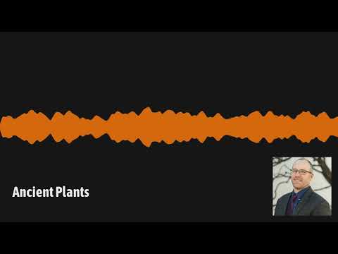 GardenDC Podcast Episode 106: Ancient Plants