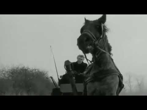 Feridun Kurt || Acı