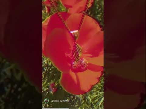 BURNS, Maluma - Hands On Me ft. Rae Sremmurd (Spotify Visual Video)