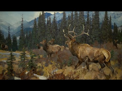 The Big Four - Wildlife Art