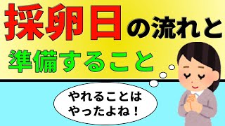 【ART前半の山場】採卵当日の流れと、その前に準備すること