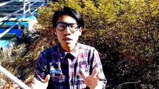 El embarazo en la adolescencia