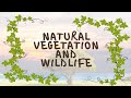 NATURAL VEGETATION AND WILDLIFE CLASS 9 GEOGRAPHY CHAPTER 5