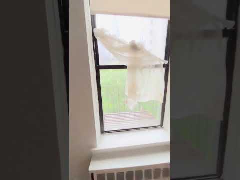 video 1