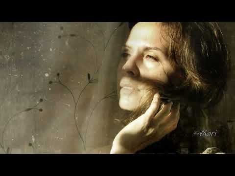 Alex Who ~ The Spider and the Fly