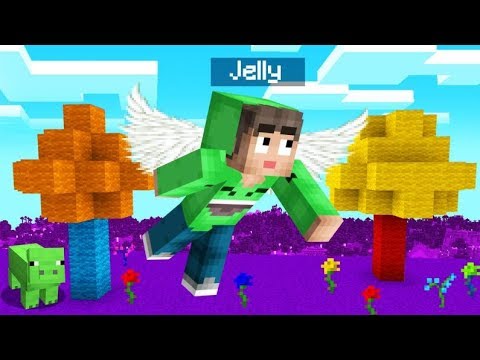 Playing MINECRAFT In A FAIRY WORLD! (Magical)