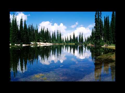 002. Daniel Briciu (prezentare)