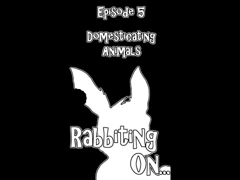 Rabbiting On - Episode 5 - Domesticating Animals