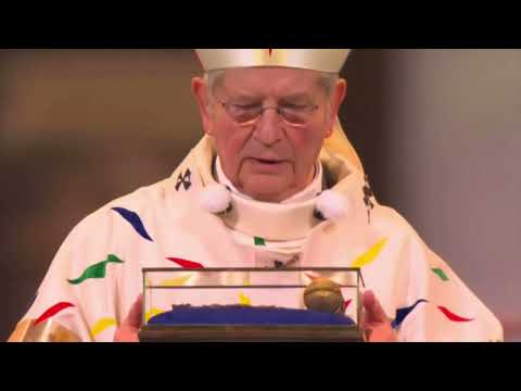 Aujourd'hui est jour de fête - Notre Dame Cathedral Rededication