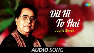 दिल ही तो है | Dil Hi To Hai | Jagjit Singh |  Audio Song | Top Jagjit Singh Ghazals