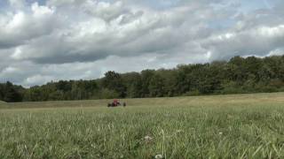preview picture of video 'kite buggy et parapente à Bondoufle (91)'