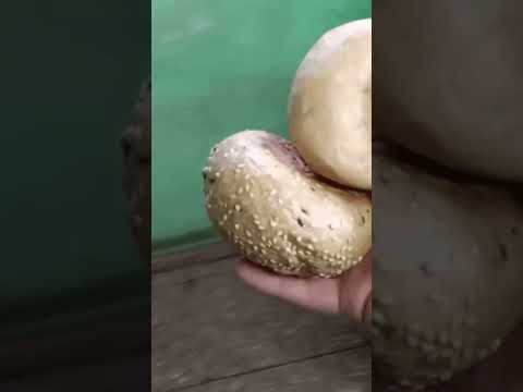 NIGHTCORE - 10 BUŁEK Adrian Nowak Żalno REMIX (prod. ZeZ Band) #shorts