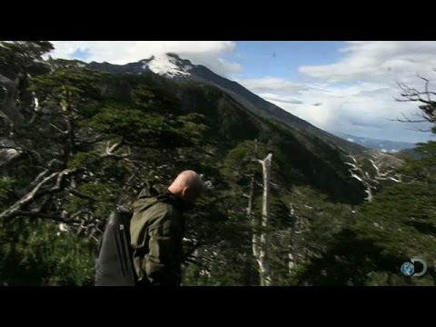 The "Tomahawk" vs. Patagonia | Dude, You're Screwed