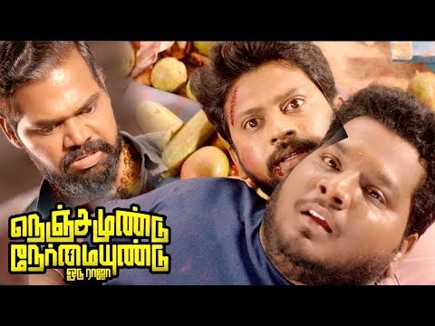 Nenjamundu Nermaiyundu Odu Raja Climax Fight | Rio Raj saves the girl | RJ Vigneshkanth |End Credits