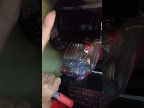 Part 2-how to grow cucumbers in September using the paper towel method.