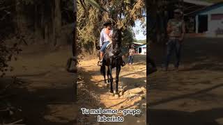 tú mal amor - grupo laberinto