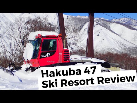 Hakuba 47 Ski Resort Review