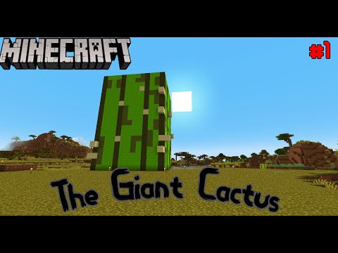 Ultimate Minecraft Prank! The World's Biggest Cactus!
