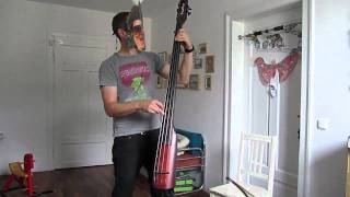 Primus De Anza Jig Bass Cover by Leitnerjoe